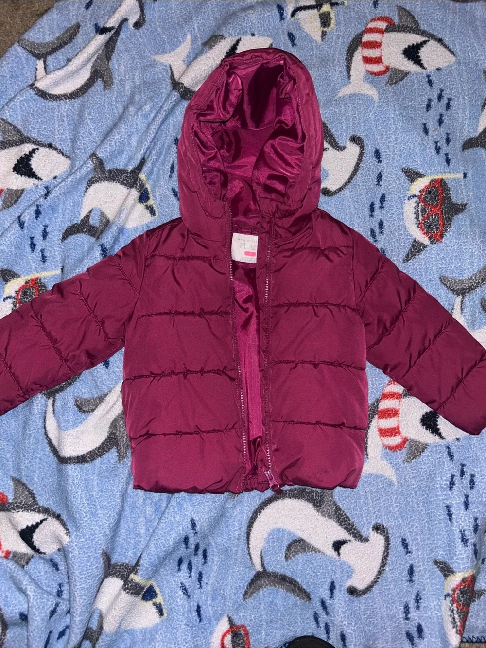 🍄3 for $10🍄 The Children's Place Burgundy Hooded Puffer Jacket